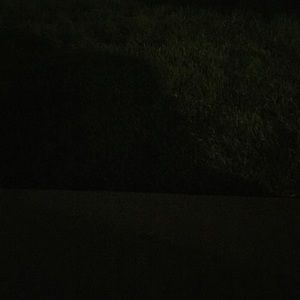 Meet your Posher, Nicki