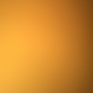 Meet your Posher, Reese