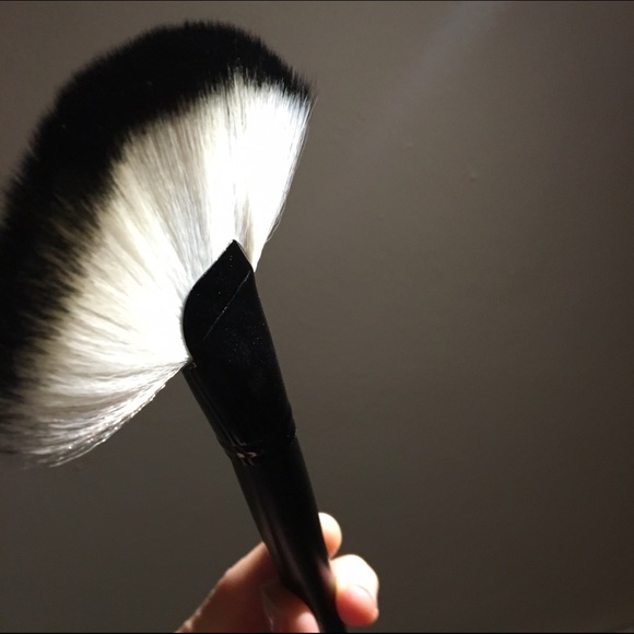 Large Fan Brush - Picture 2 of 4