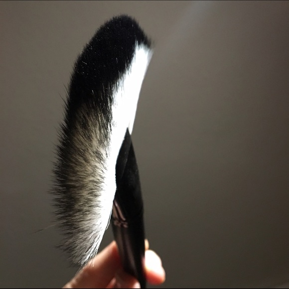Large Fan Brush - Picture 4 of 4