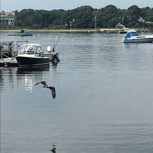 Meet your Posher, Silamar