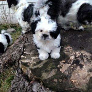 Meet your Posher, Kaylee