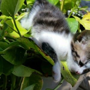 Meet your Posher, Karina