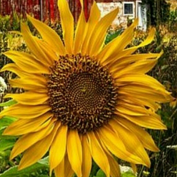 Meet your Posher, T - Picture 2 of 2