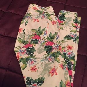 Flamingo print American Apparel pants