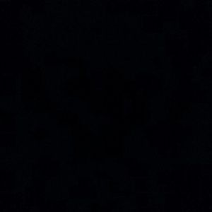 Meet your Posher, Jerry