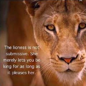 Meet your Posher, Rene