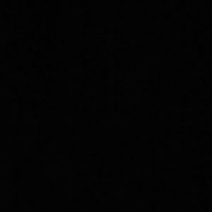 Meet your Posher, Lisette