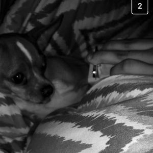 Meet your Posher, Jen