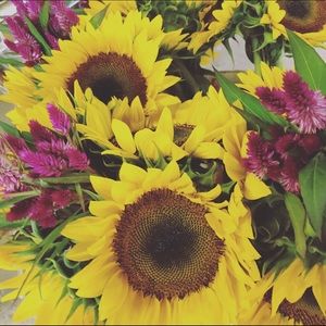 Meet your Posher, Angie