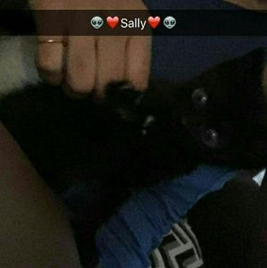 Meet your Posher, Astrid