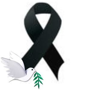 Meet your Posher, Gigi