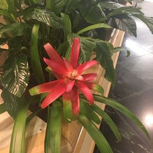 Meet your Posher, Barbara