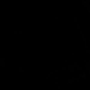 Meet your Posher, Luis