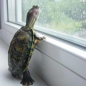 Meet your Posher, Christy