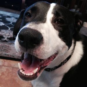 Meet your Posher, Jolene