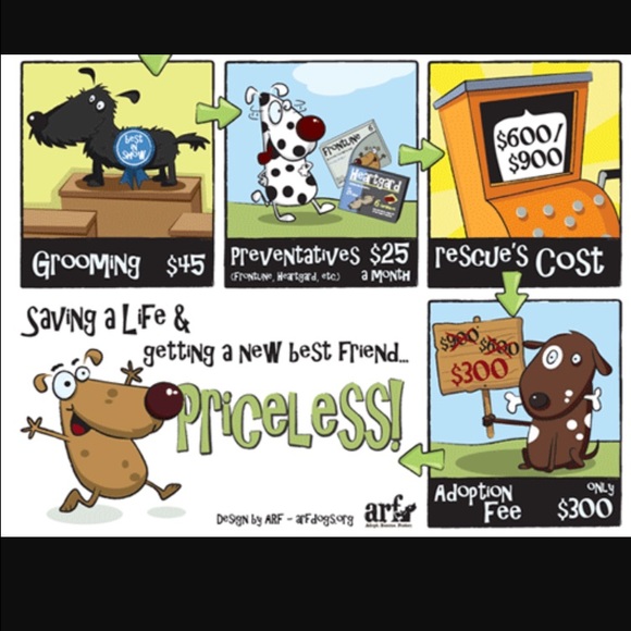 Donations go to our local no-kill animal rescue