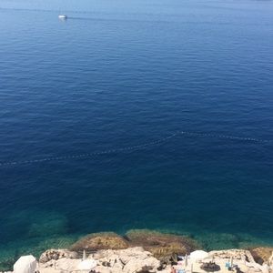 Meet your Posher, Lily