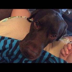 Meet your Posher, Amands