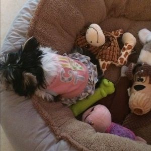 Meet your Posher, Olivia