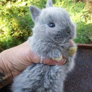 Meet your Posher, Missie