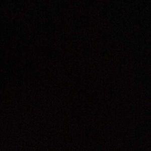 Meet your Posher, Iliana