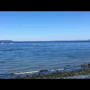 Meet your Posher, Jess