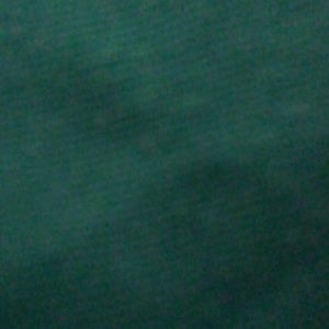 Meet your Posher, Taneisha