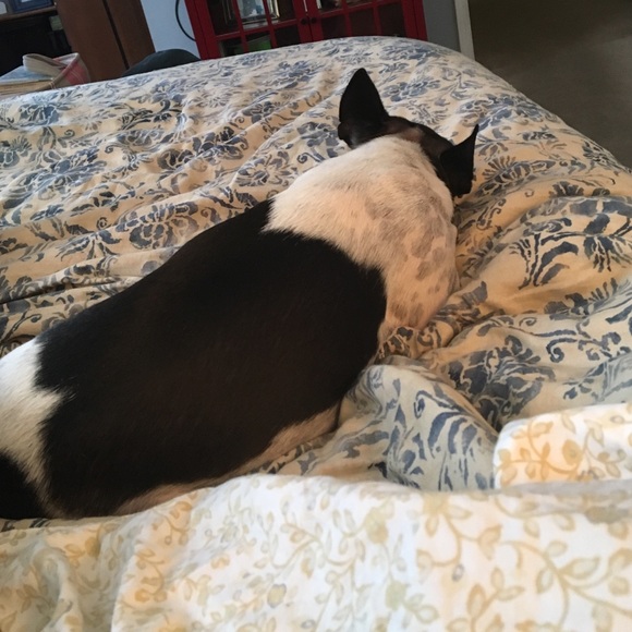 Meet your Posher, Jen