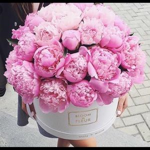 Meet your Posher, Alisa