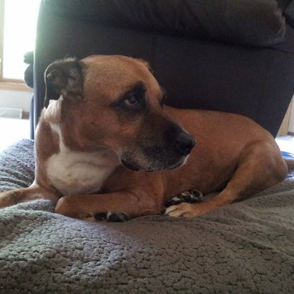 Meet your Posher, Heather - Picture 1 of 1