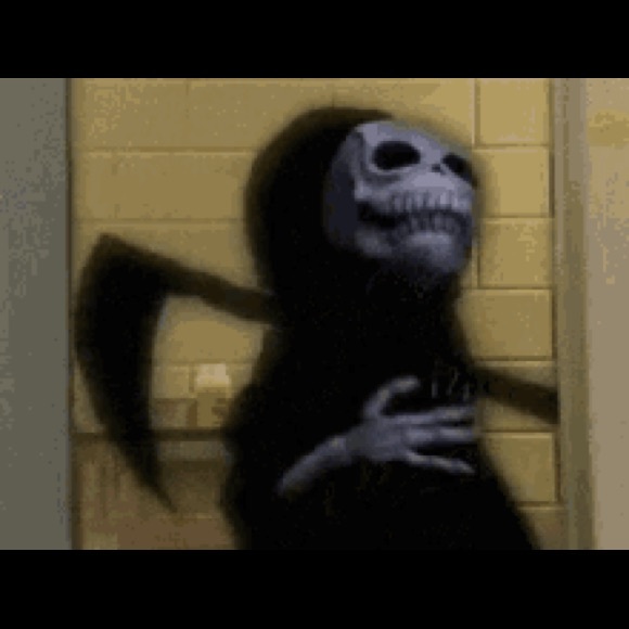 Meet your Posher, Cole