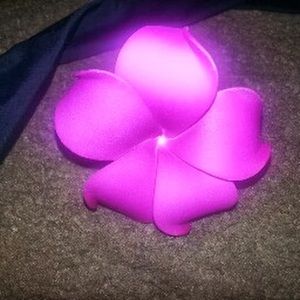 Meet your Posher, Angelina