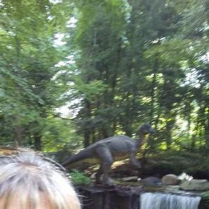 Meet your Posher, Denise