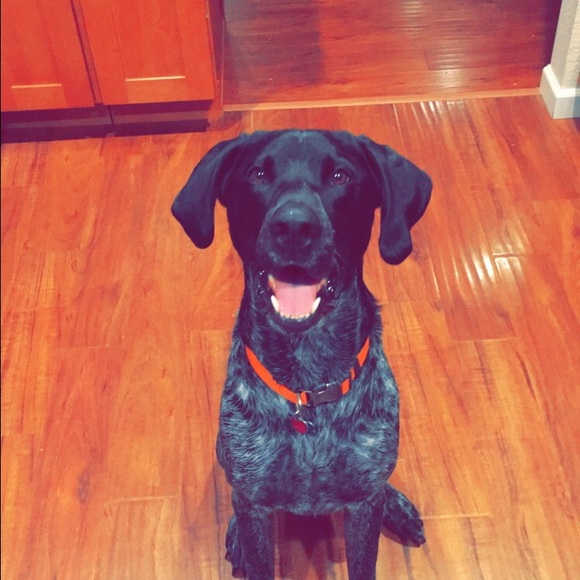 Meet your Posher, Blaine