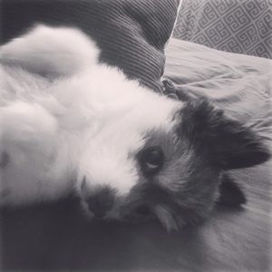 Meet your Posher, Katie