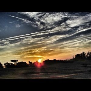 Meet your Posher, Sandi