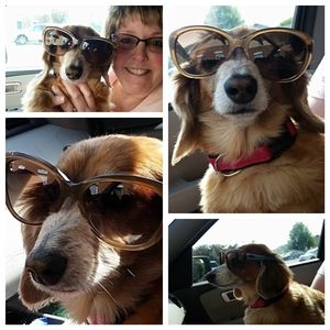 Meet your Posher, Kathy