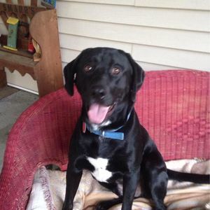 Meet your Posher, Patty