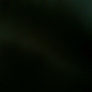 Meet your Posher, Shayla