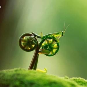 Meet your Posher, Ellen