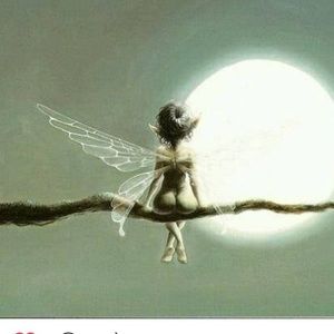 Meet your Posher, Catherine