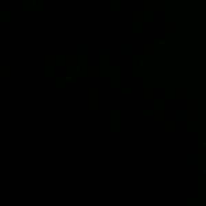 Meet your Posher, Kesha