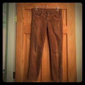 25" waist JCrew Tan Skinny Cords