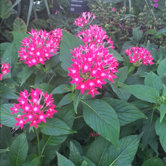 Meet your Posher, Elaine