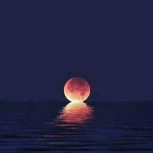 Meet your Posher, Jodi