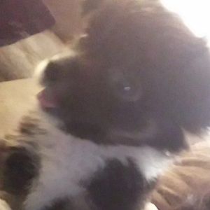 Meet your Posher, Keja