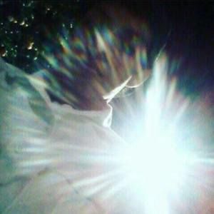 Meet your Posher, Jesus