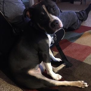 Meet your Posher, Leslie