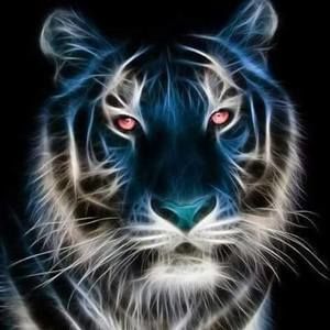 Meet your Posher, Terri